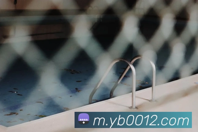 奖项证书